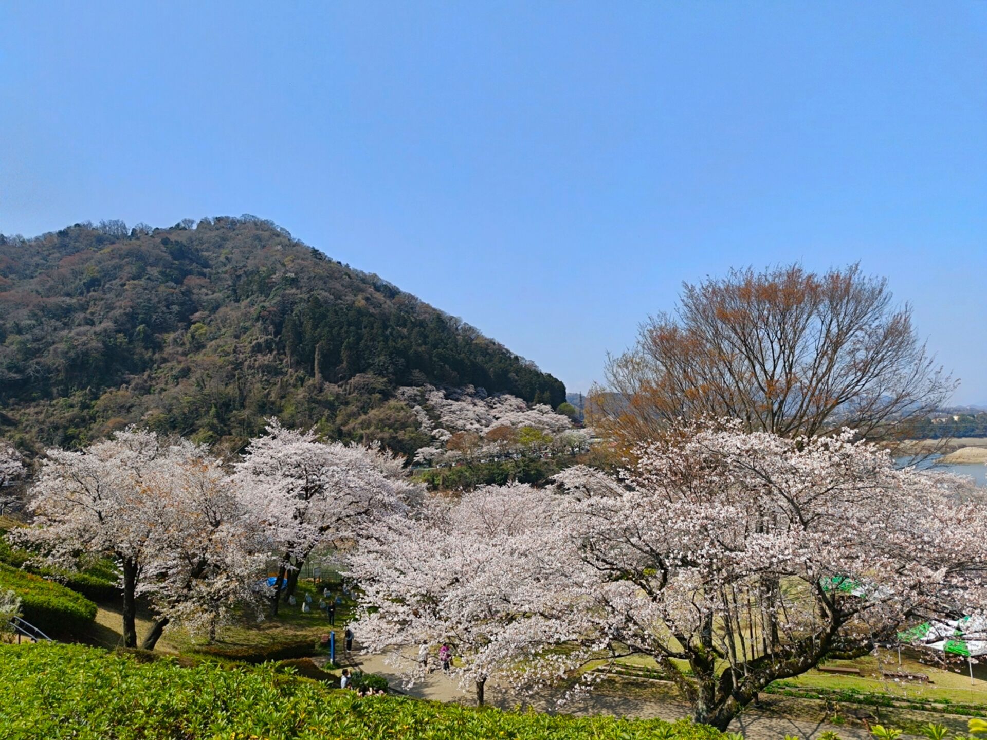 ブログ