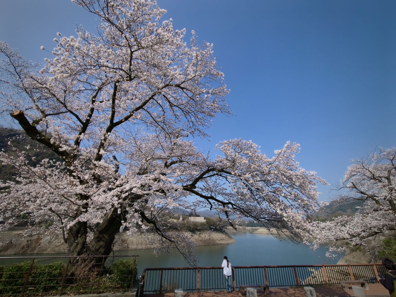画像3034
