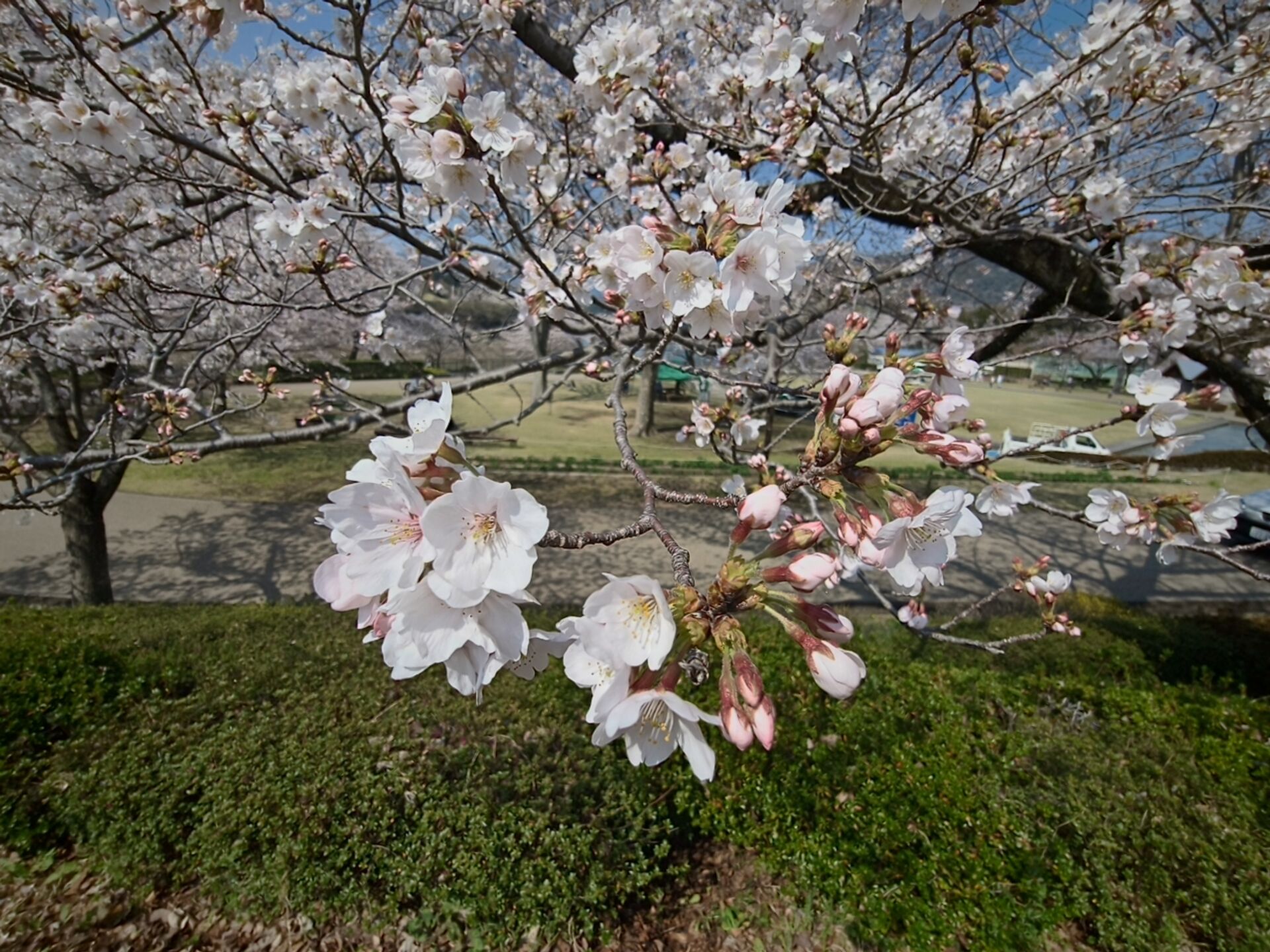 IMG20260329100421.jp