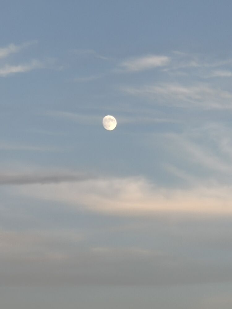 画像3944